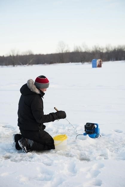 lake winnipeg ice fishing guides