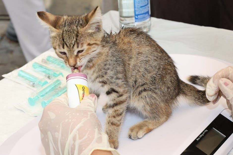 cat mate cat flap instructions